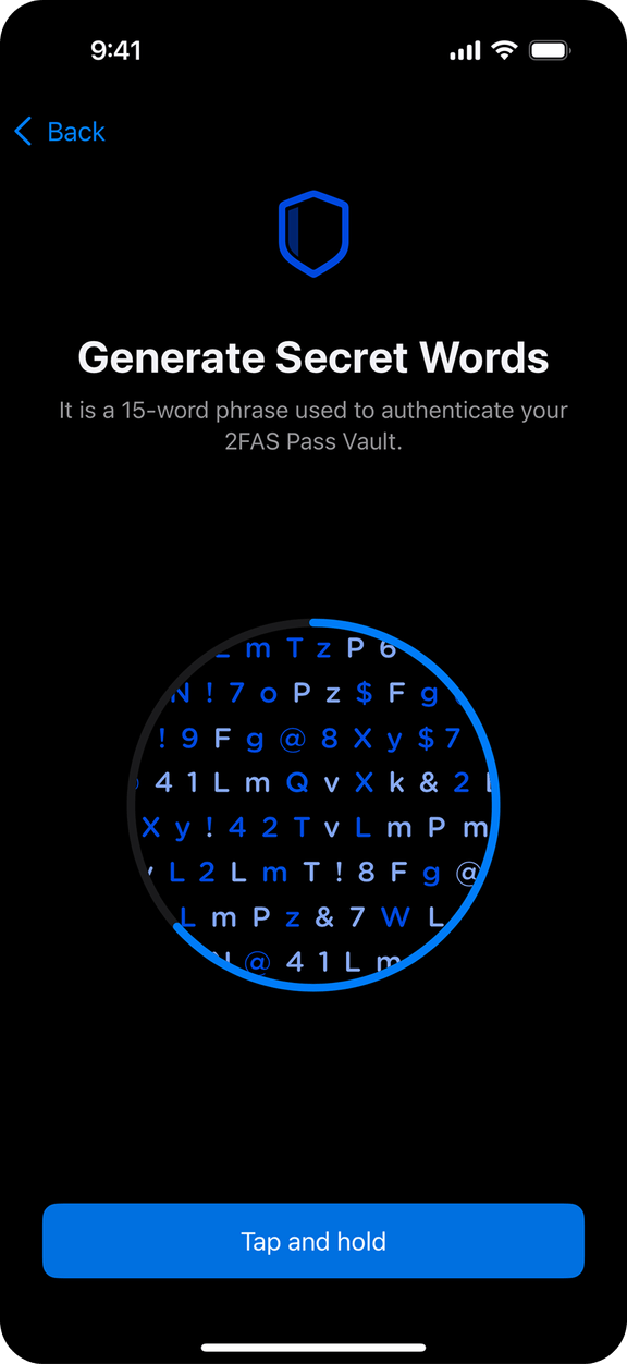 Beyond native security standards