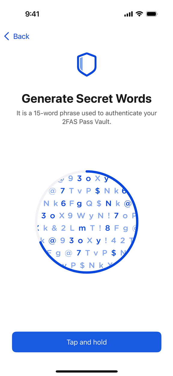 Beyond native security standards